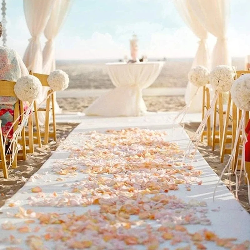 Romantic White Carpet Wedding  - Aisle Runner White review and price